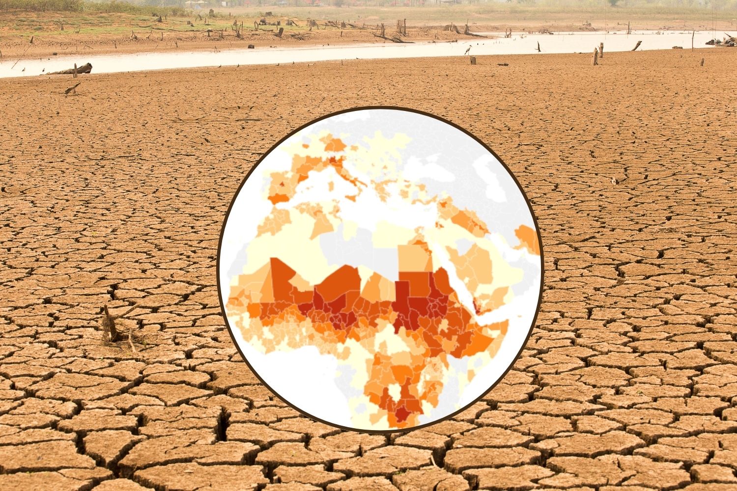Super El Niño : l’Italie parmi les 50 pays les plus à risque, chaleur extrême pourrait provoquer 451 000 morts dans le monde