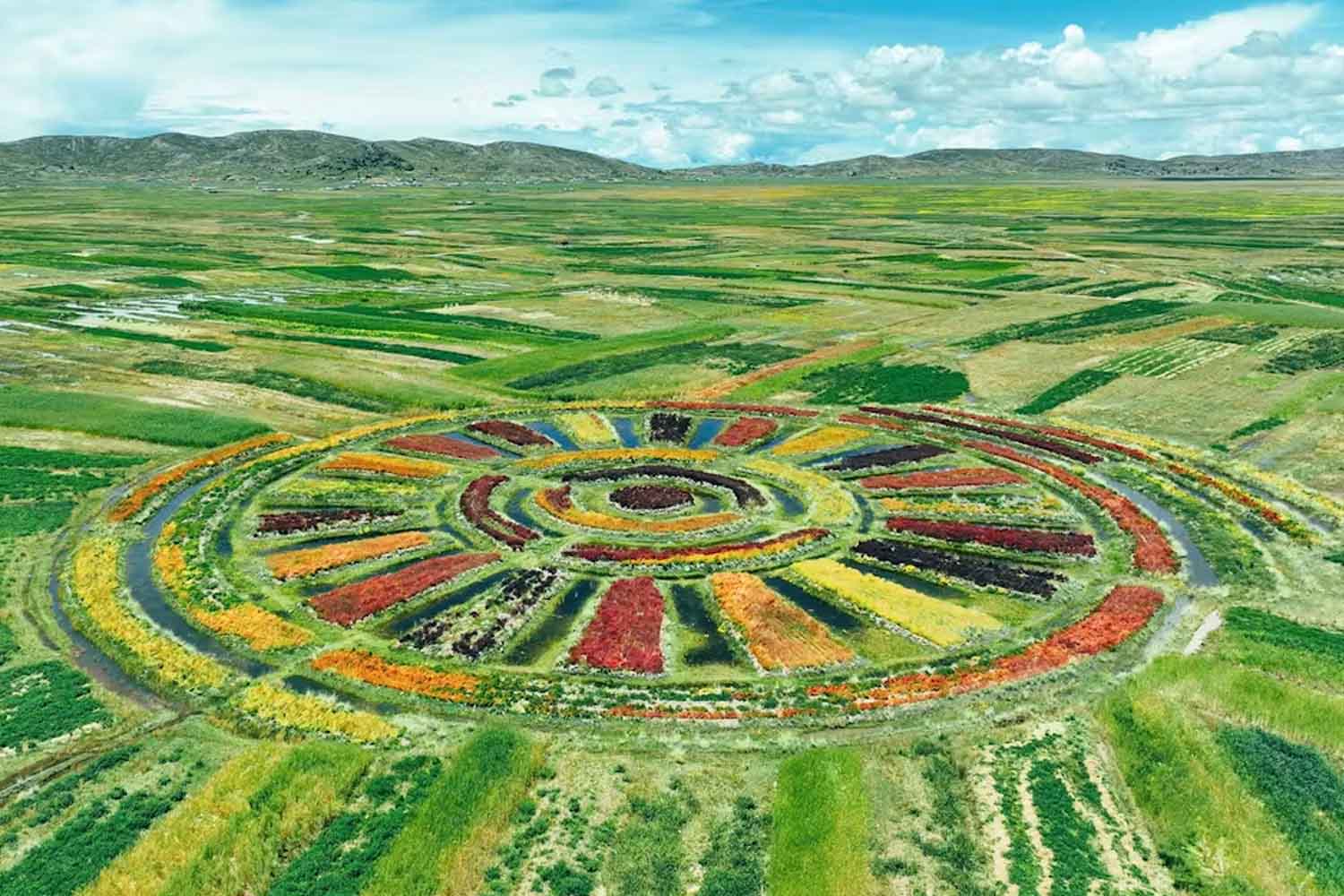 Au Pérou, les waru waru incas remis en service : 3 000 ans plus tard, ils aident encore les pommes de terre face au climat extrême