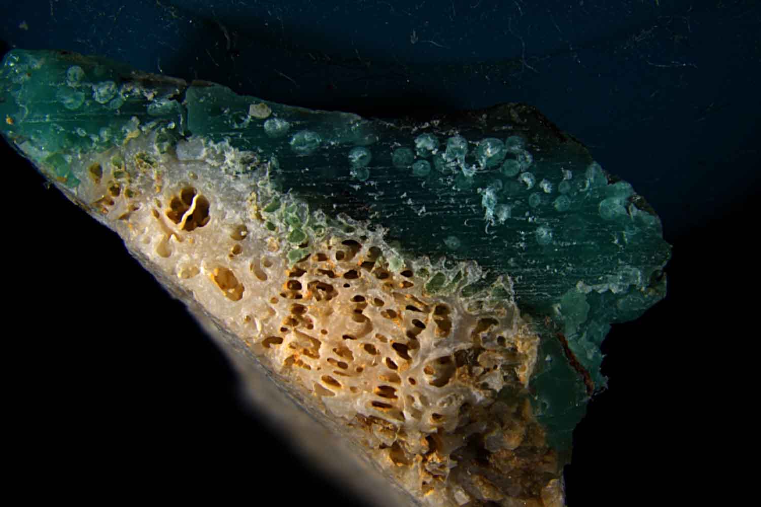 Les scientifiques découvrent les plasticoraux : fragments de corail fondus dans le plastique, nouvelle forme de pollution