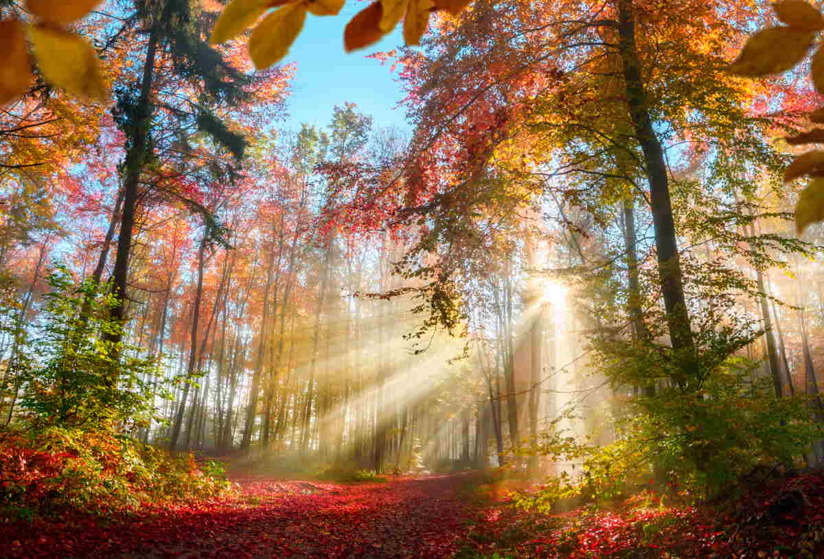 Météo : tout change à partir du 22 septembre et l'arrivée de l'équinoxe d'automne — les régions qui ressentiront le froid en premier