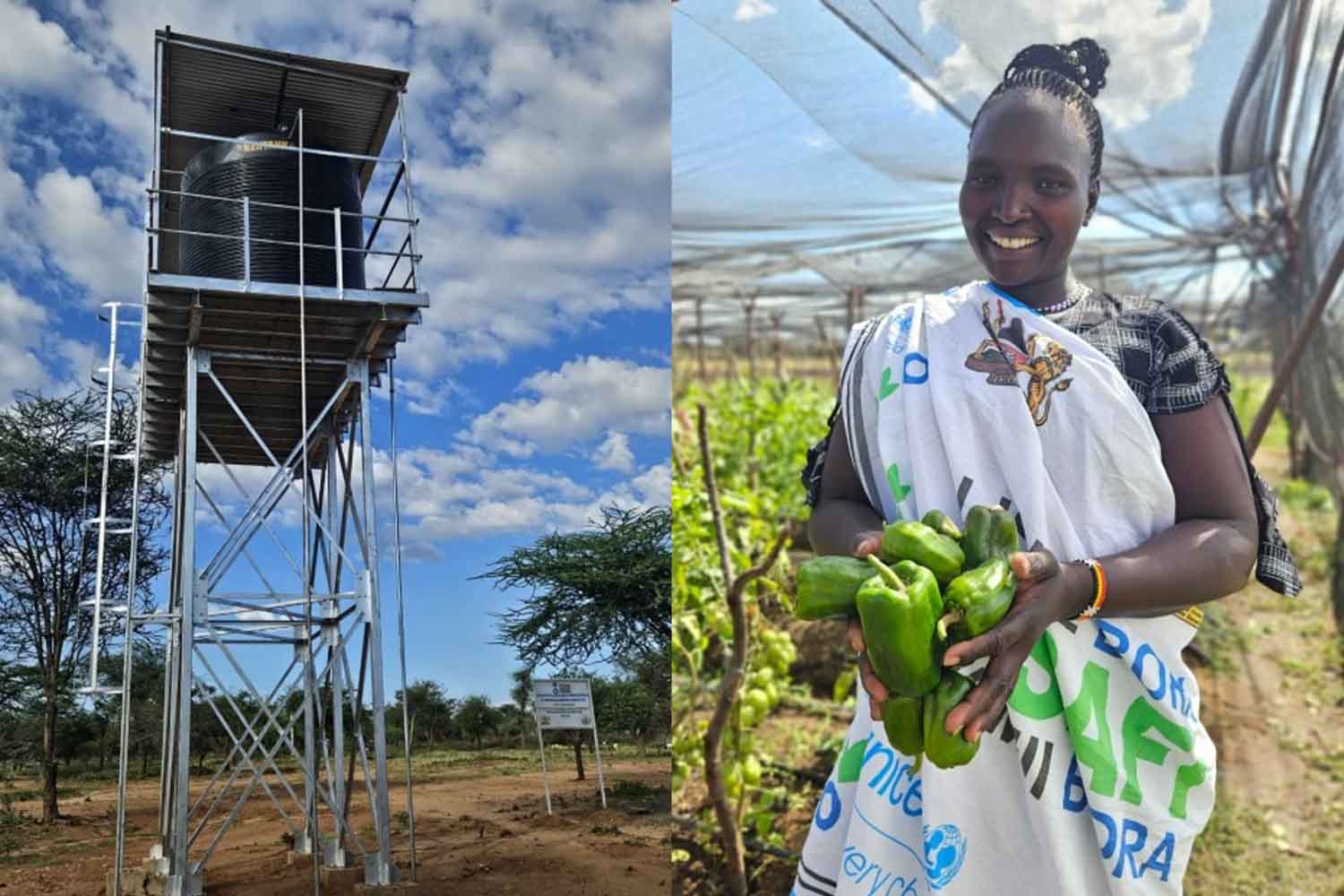 Quinze femmes, un puits solaire et un potager : comment un village kenyan résiste à la faim et à la sécheresse