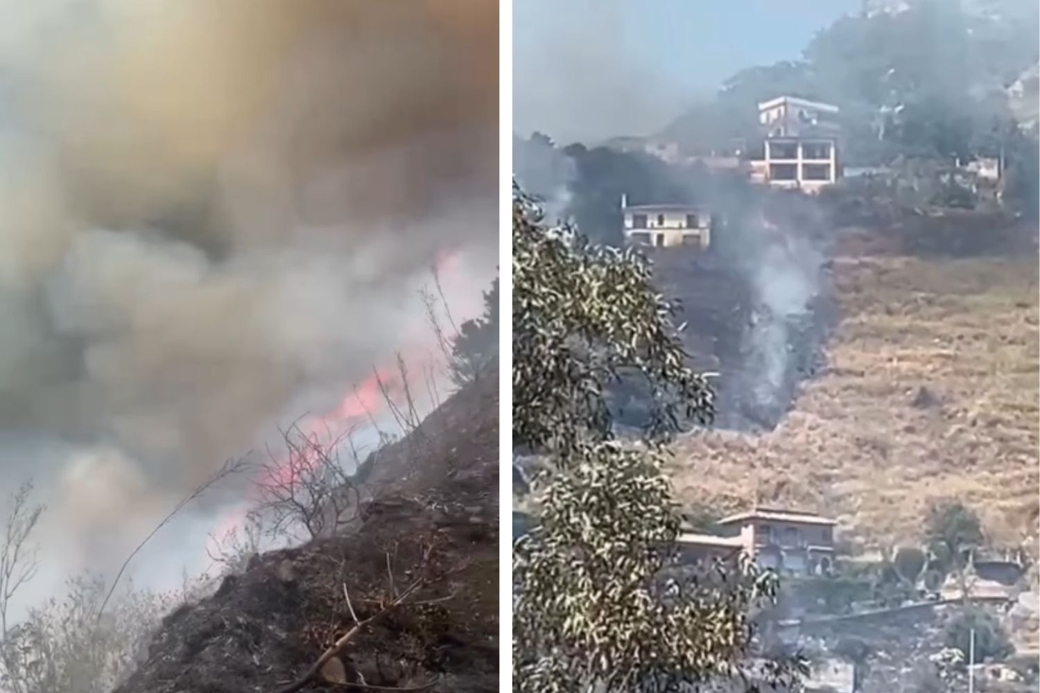 Taormina en flammes : les incendies menacent les habitations, la situation est vraiment tragique