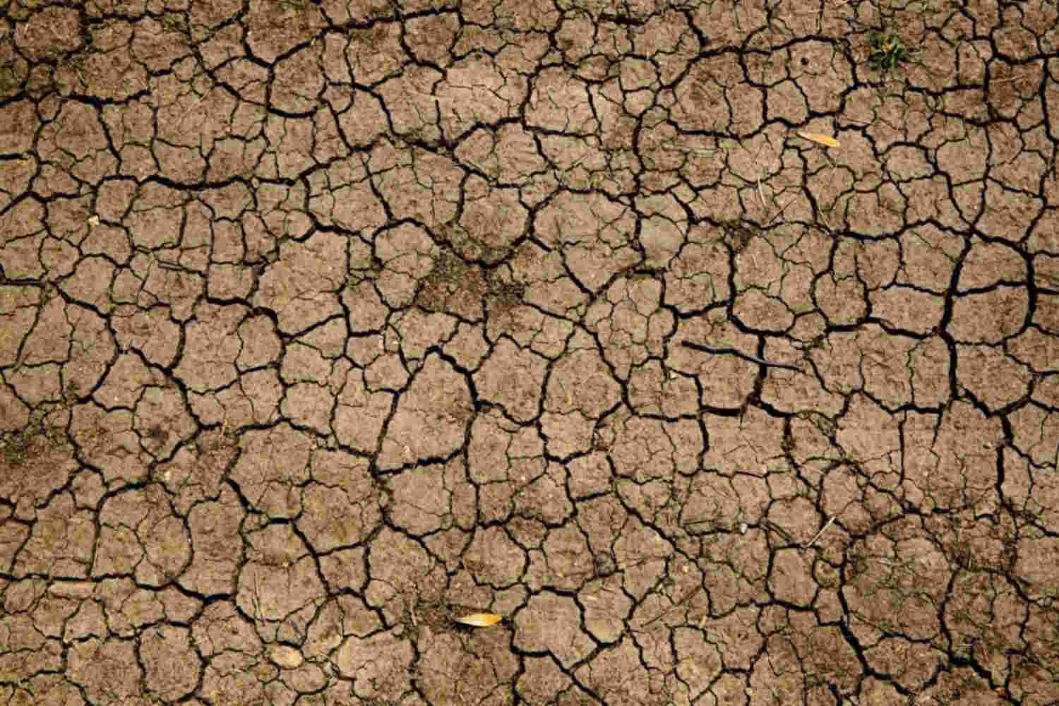 Primo piano zenitale di un terreno brullo e argilloso completamente spaccato a causa della siccità e della mancanza d'acqua