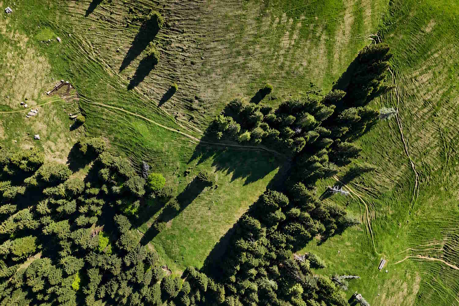 La montagne qui refuse de disparaître : voyage dans les vallées bergamasques où l'on sauve forêts, châtaigneraies et communautés