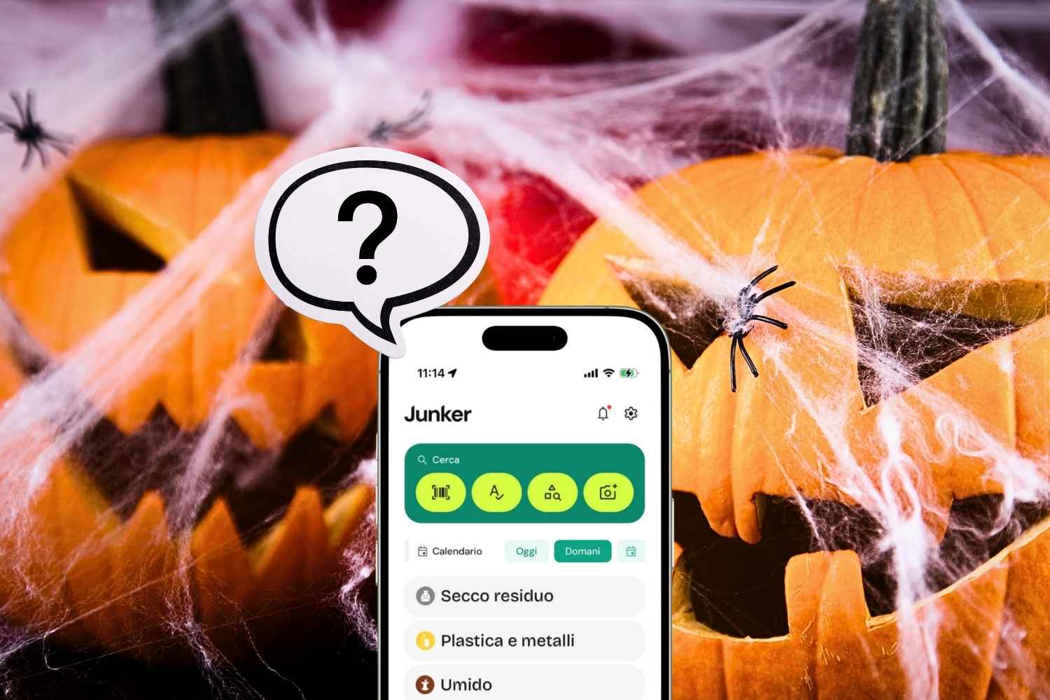 Sais-tu où jeter la citrouille sculptée et les toiles d’araignée fausses d’Halloween ? Erreurs qui donnent des frissons (que tu pourrais aussi commettre)