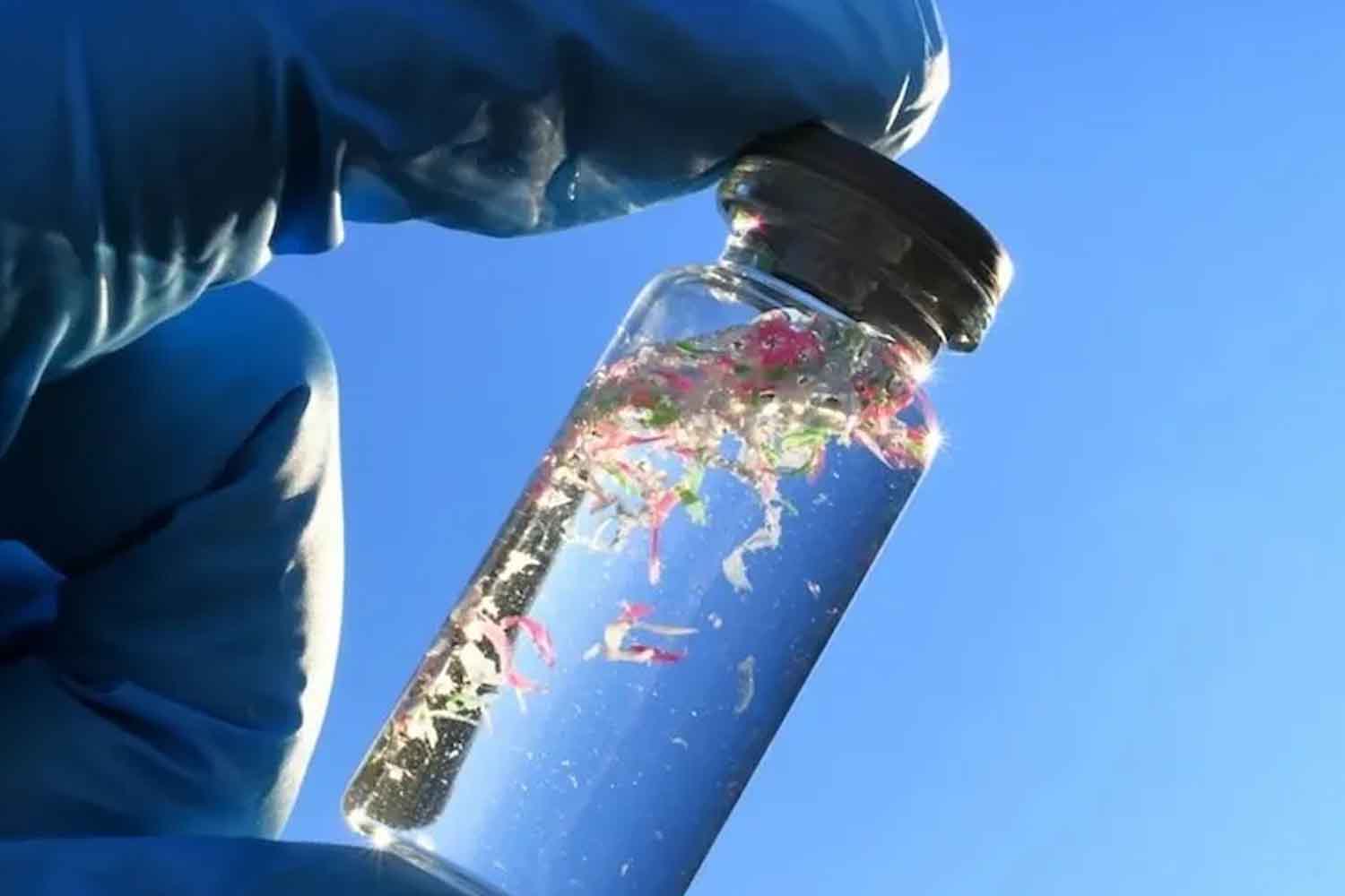 Que deviennent les microplastiques une fois dans l’eau ? Des scientifiques révèlent un risque pour la santé sous-estimé