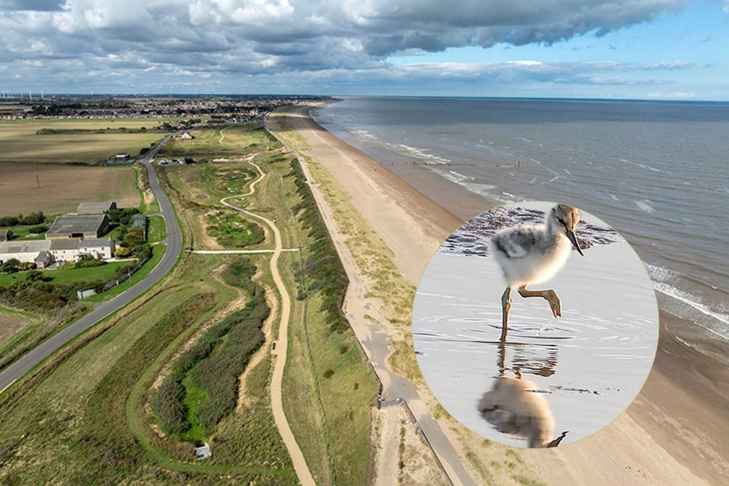 Terrain de golf transformé en immense réserve naturelle côtière, paradis pour les oiseaux et la biodiversité